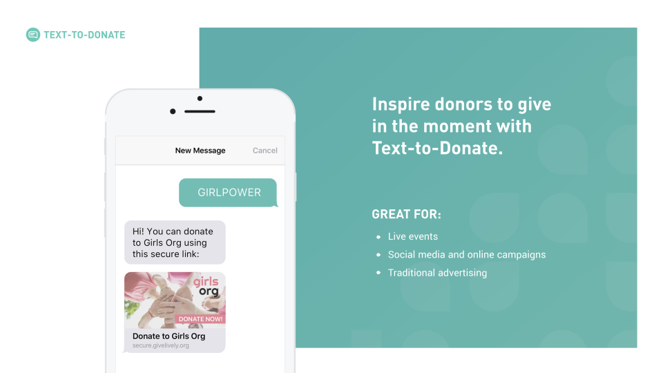 screenshot of Give Lively